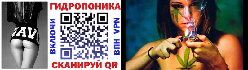закладка  Нижнекамск  Марихуана ГИДРОПОН 